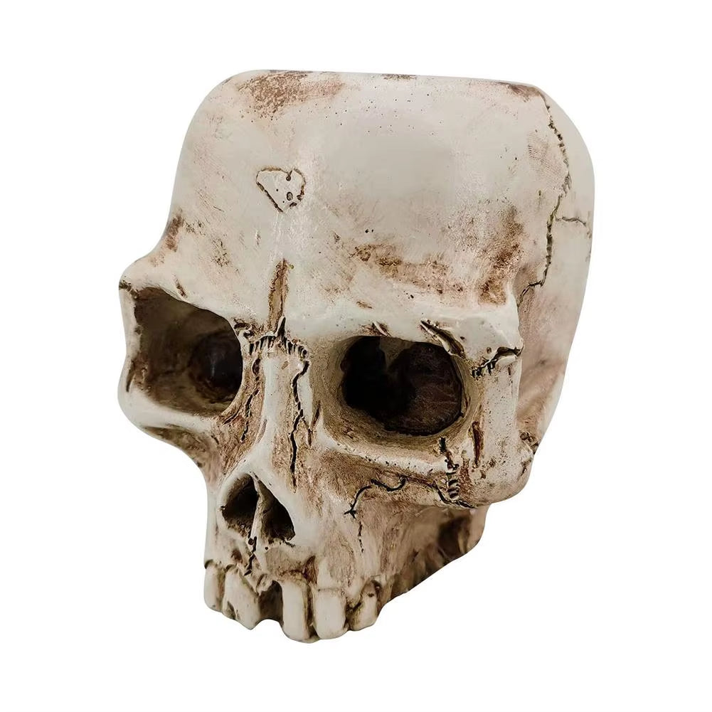 Creative Flowerpot Hand Carved Skull Flower Pot Bowl Home Garden Halloween Decoration Drop Shipping Courtyard Decoration